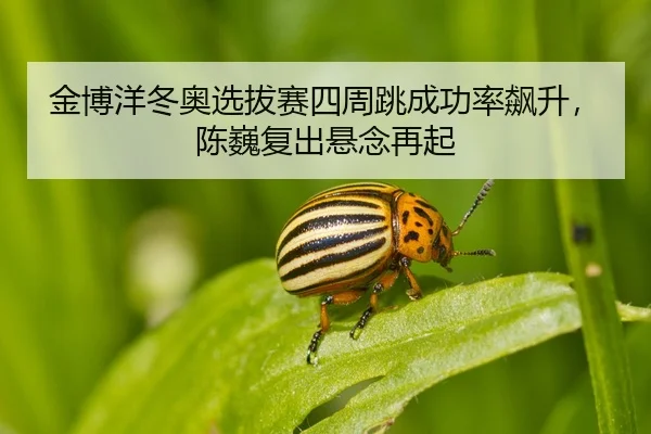 jin-bo-yang-dong-ao-xuan-ba-sai-si-zhou-tiao-cheng-gong-lv-biao-sheng-chen-wei-fu-chu-xuan-nian-zai-qi-2-762.jpg