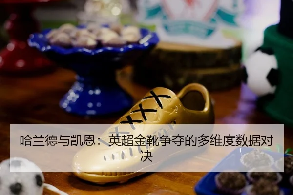 ha-lan-de-yu-kai-en-ying-chao-jin-xue-zheng-duo-de-duo-wei-du-shu-ju-dui-jue-2-295.jpg