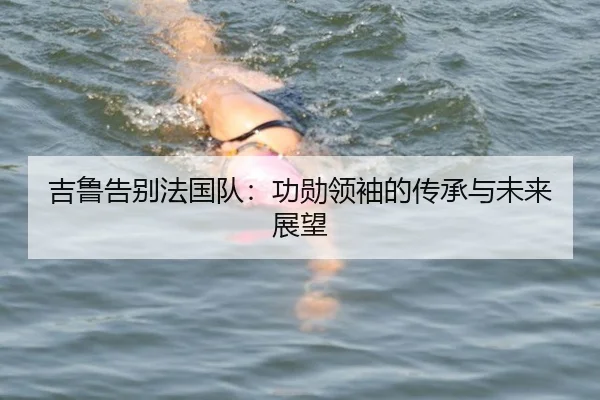 吉鲁告别法国队：功勋领袖的传承与未来展望