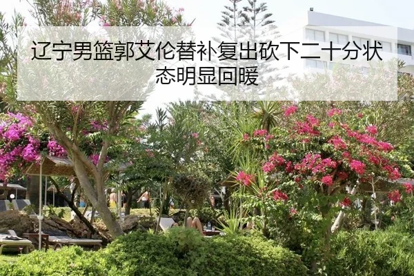 辽宁男篮郭艾伦替补复出砍下二十分状态明显回暖